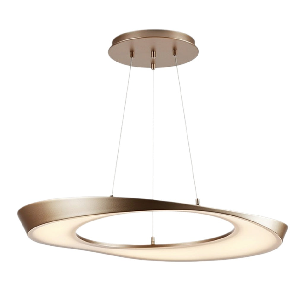 Moderne Hanglamp met Ovale Vorm en Energy-Efficiënte LED Verlichting